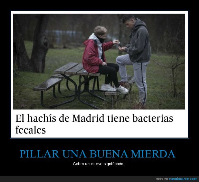hachís,bacterias fecales,wtf