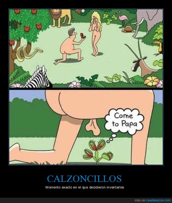 proposici&oacute;n,ad&aacute;n y eva,planta carn&iacute;vora,huevos