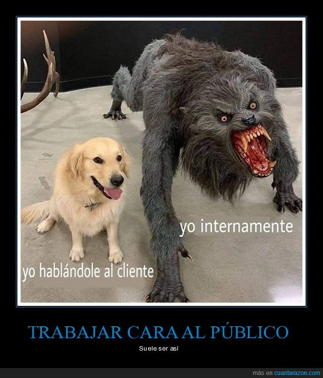 hablando,cliente,internamente,perro,hombre lobo