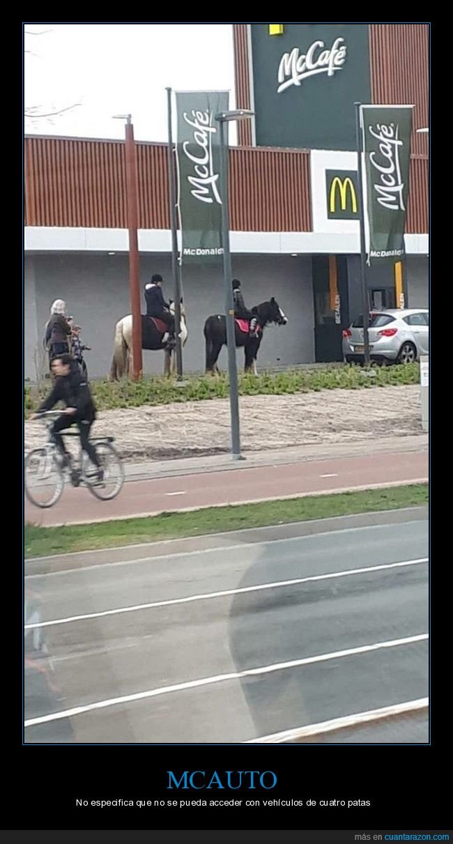 mcauto,mcdonald's,caballos