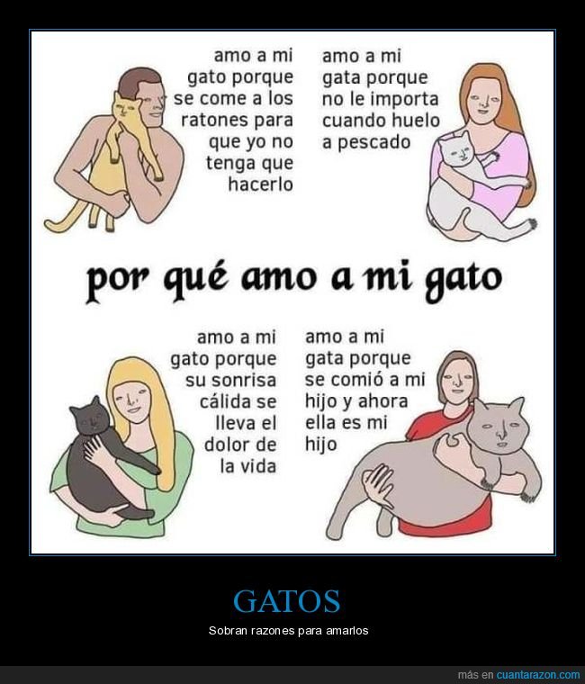 amar,gato,comer,hijo
