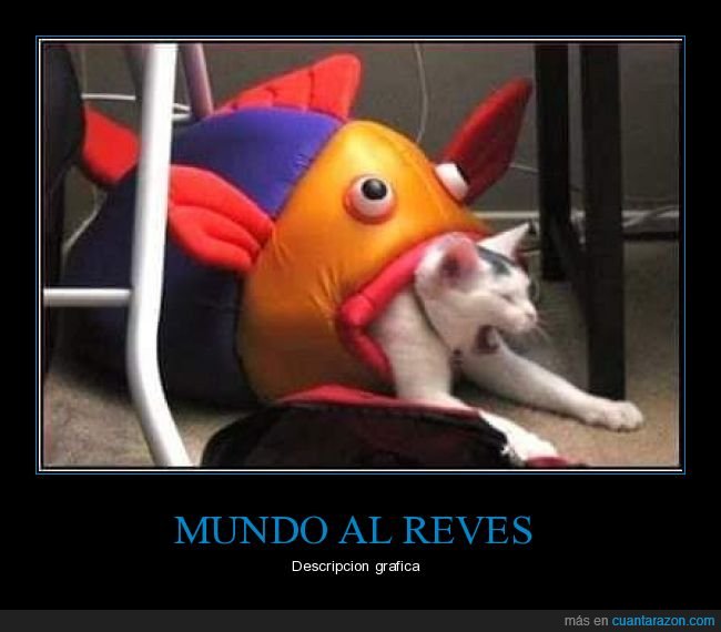 gatos,pez,comiendo