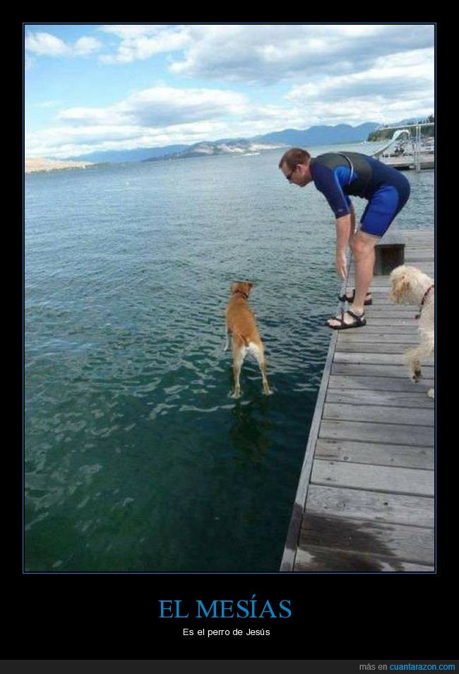 perro,mes&iacute;as,jes&uacute;s,agua