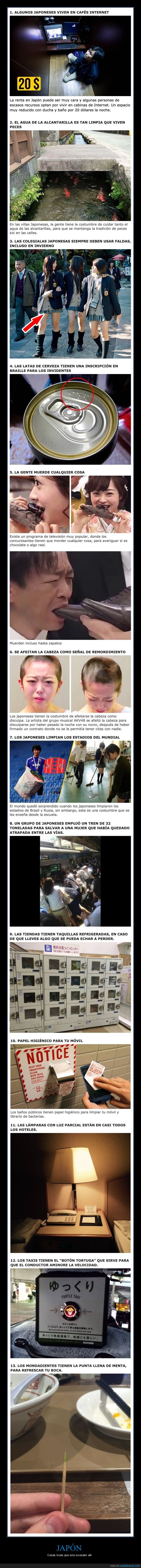 japón,curiosidades