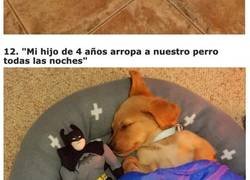 Enlace a Personas que tienen demasiado consentidas a sus mascotas