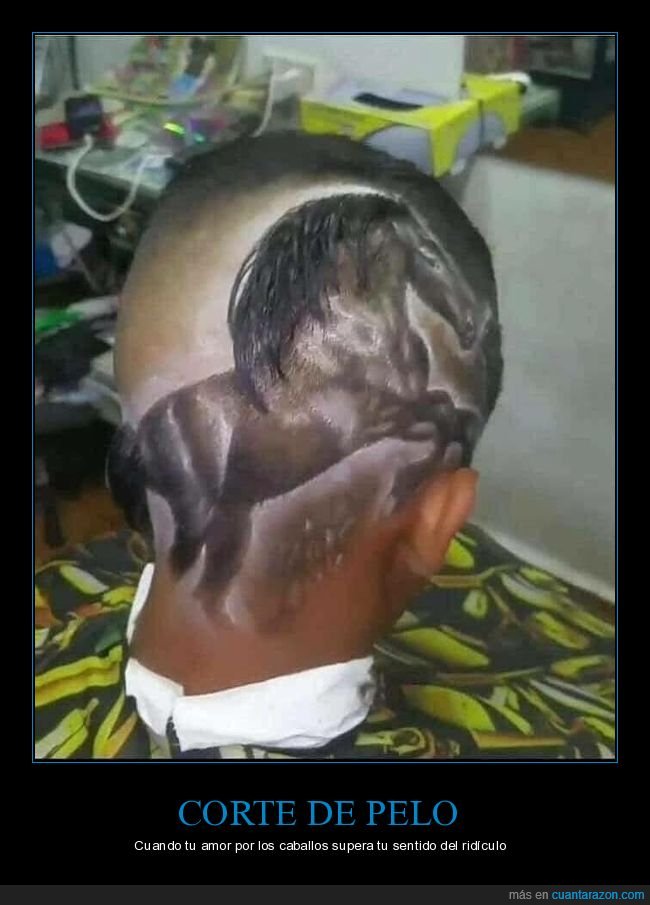 corte de pelo,caballo,wtf