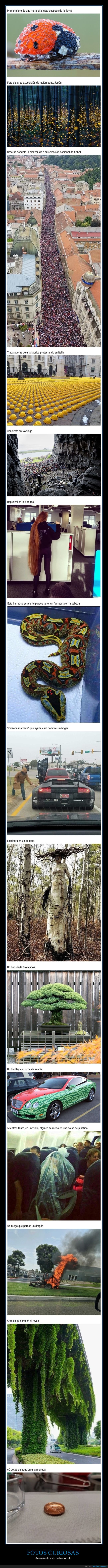 fotos curiosas,curiosidades