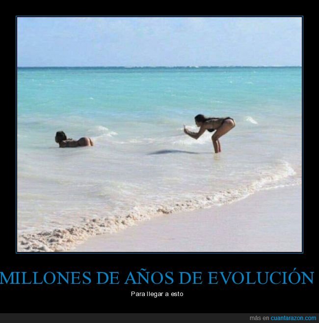 evolución,foto,culo,playa