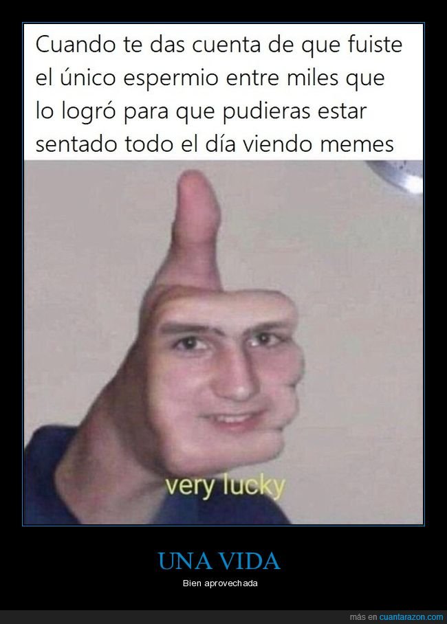 espermio,espermatozoide,absurdo,memes