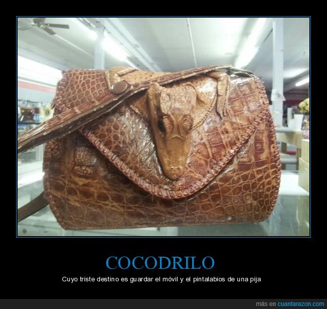 bolso,cocodrilo