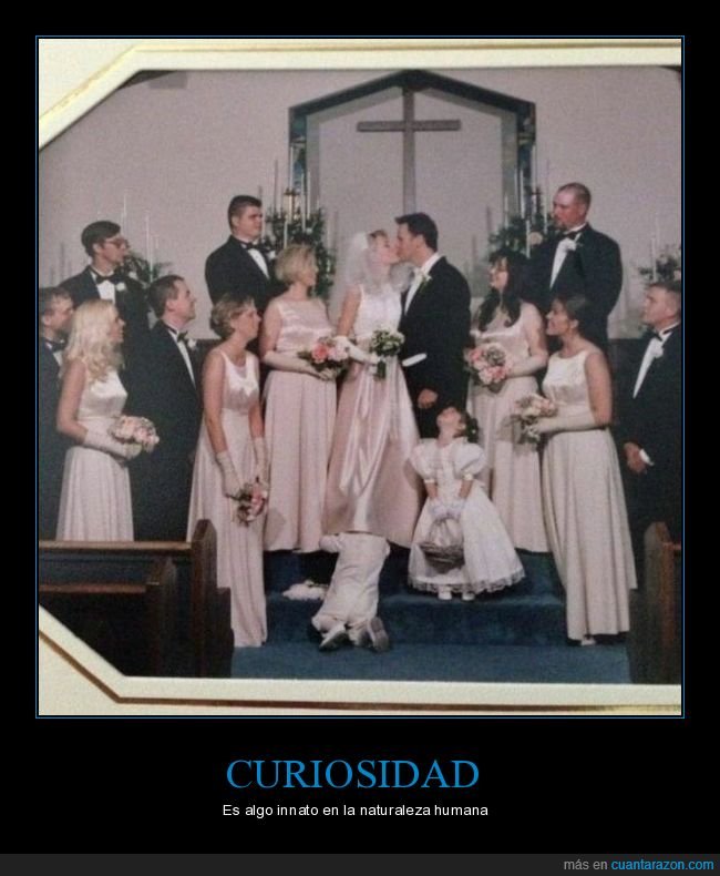 boda,niño,falda,wtf