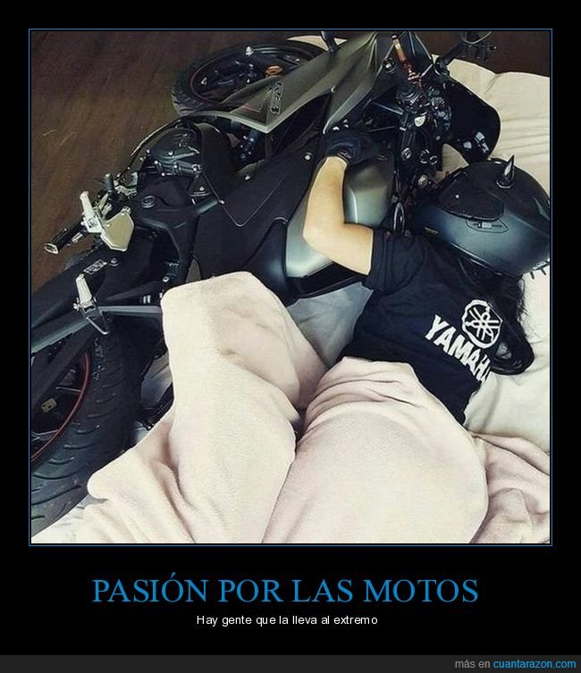 moto,cama,wtf