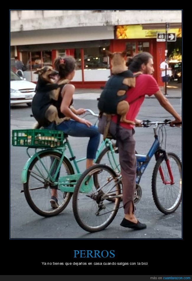 perros,bicicletas,wtf