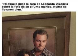 Enlace a Abuelas que prometen alegrarte el día