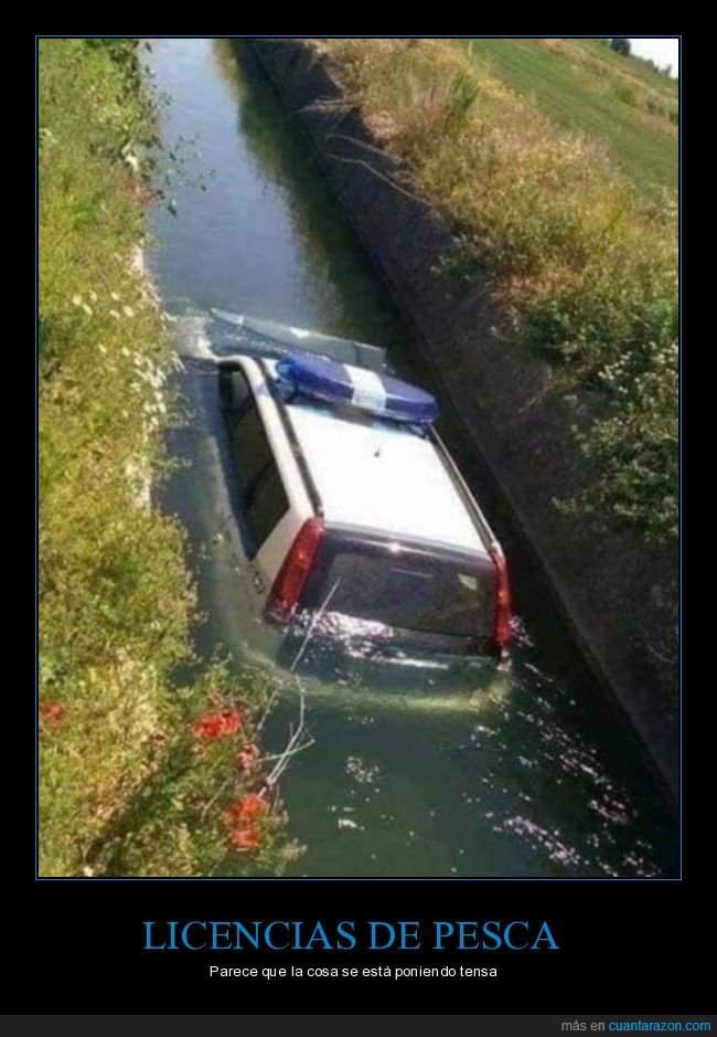 polic&iacute;a,acequia,fail,coche