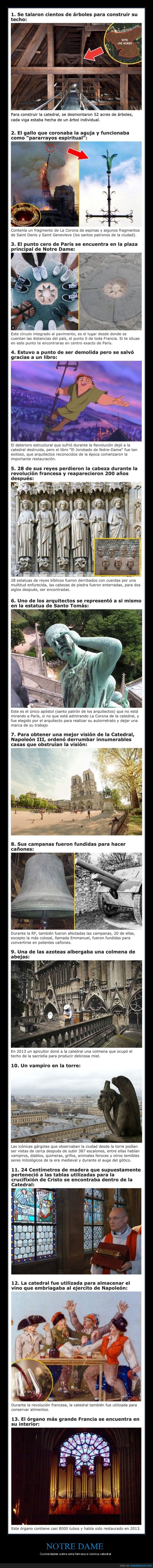 notre dame,curiosidades