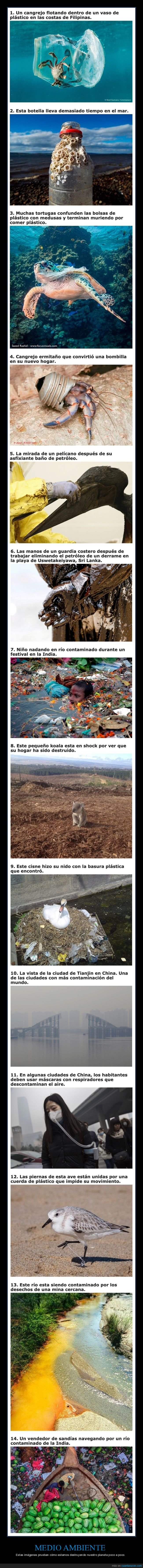 medio ambiente,contaminaci&oacute;n