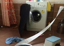 Enlace a Gracias, Roomba...