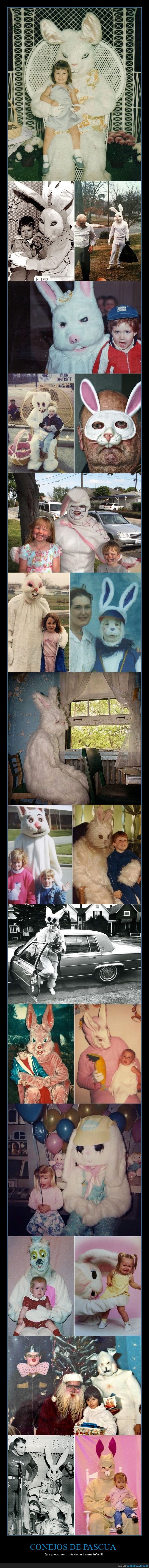 conejos de pascua,disfraces,miedo