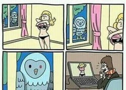 Enlace a Mientras tanto, en Hogwarts...