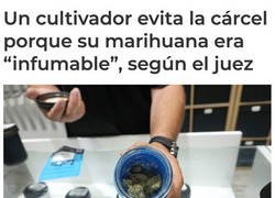 Enlace a Es inimputable