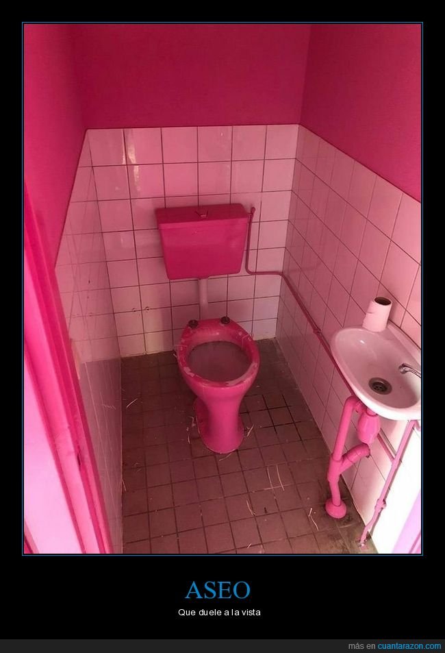 aseo,rosa,wtf