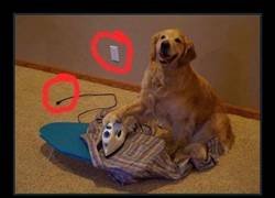 Enlace a Emosido engañado