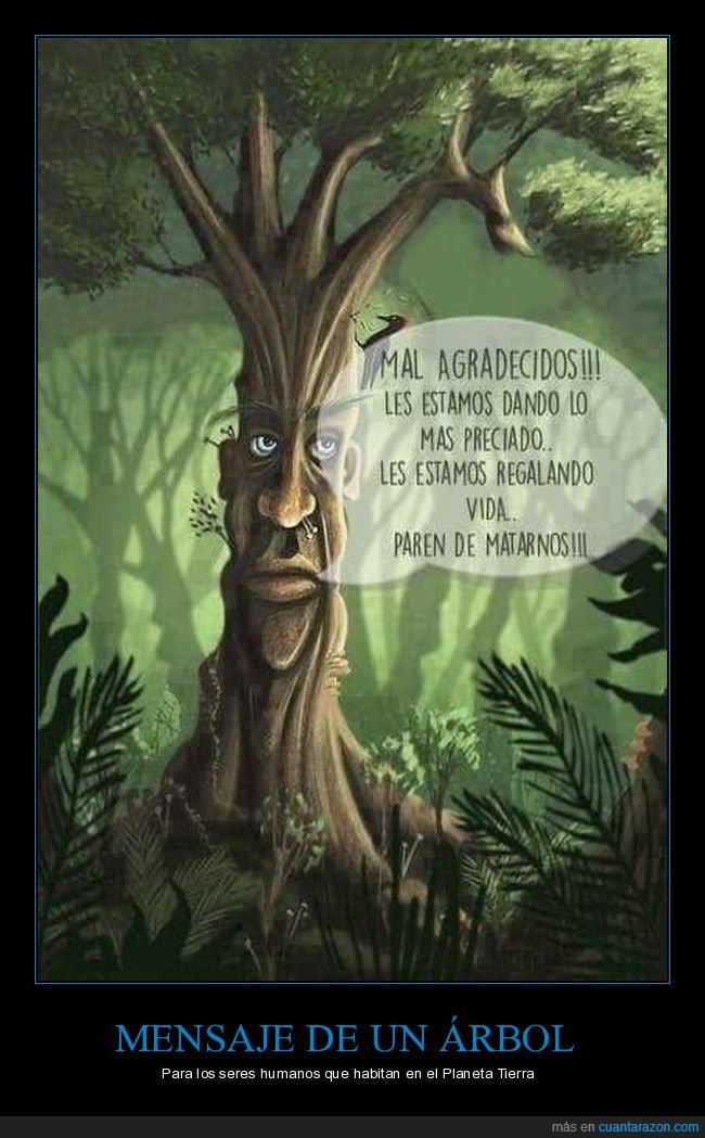 árbol,humanos,vida,matar