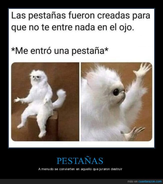 pestañas,ojo