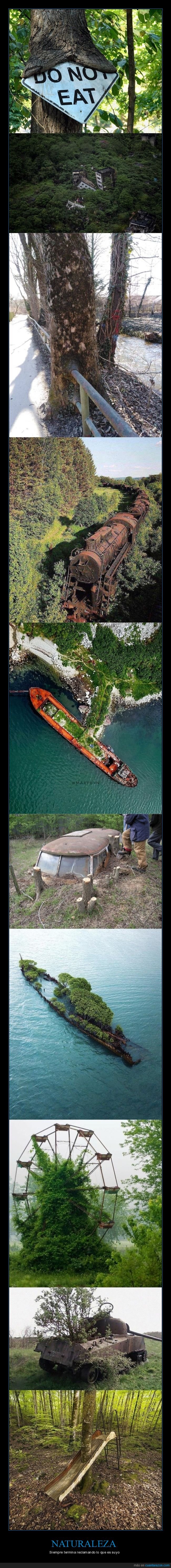 naturaleza,poder,vegetación