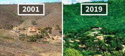 Enlace a Este fotógrafo y su mujer plantaron 2 millones de árboles en 20 años para restaurar un bosque destruido