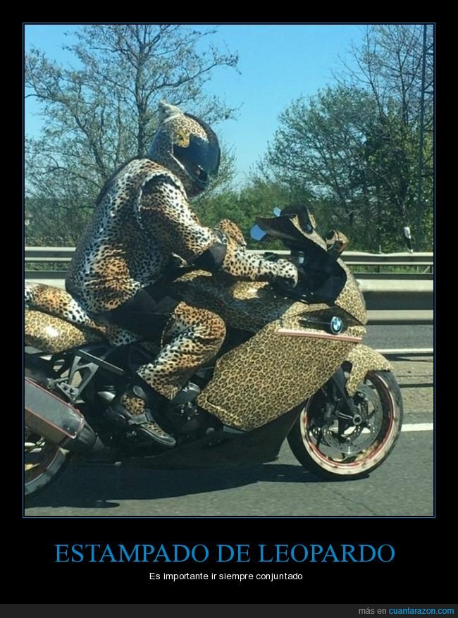 moto,leopardo,wtf