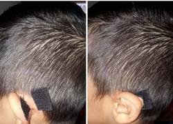 Enlace a La solución definitiva para los soplillo