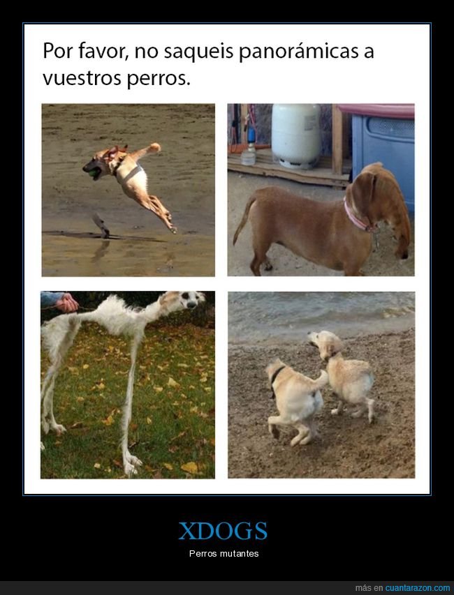 perros,panoramica,mutante