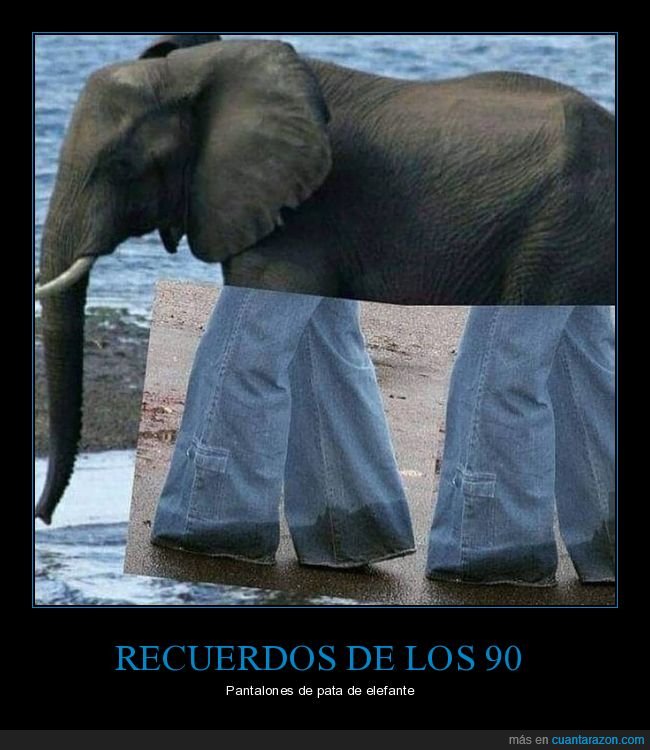 elefante,pata,tejanos