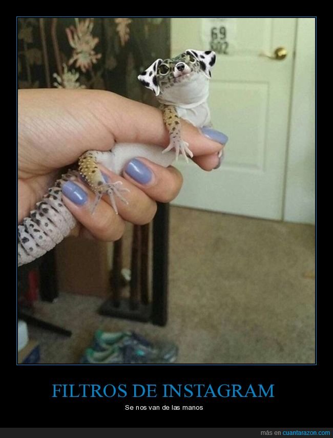 filtros,instagram,mascota,orejas,lagarto
