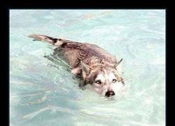 Enlace a Qué miedo da, joder