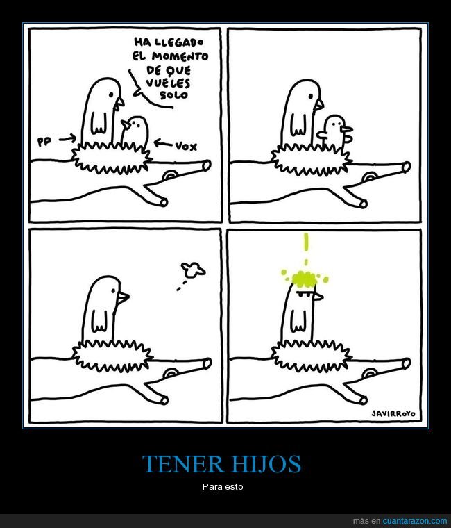 pájaros,volar,solo,pp,vox,políticos