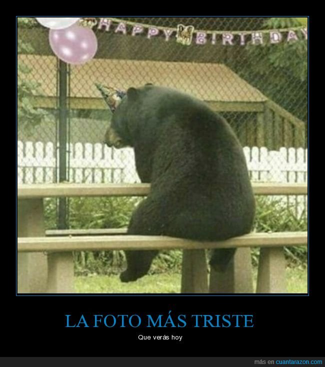 oso,cumpleaños,solo,triste