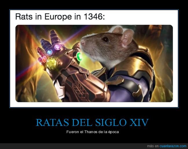 ratas,europa,1346,peste,thanos