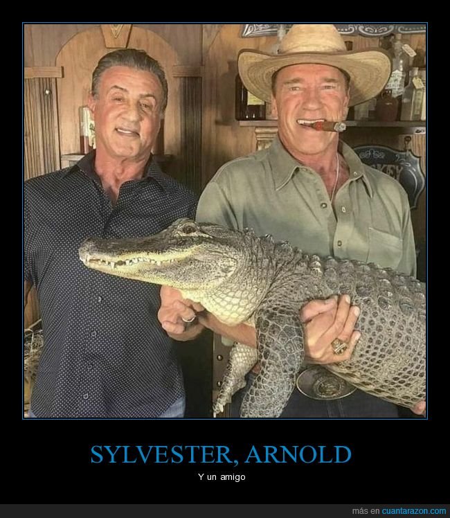 arnold schwarzenegger,sylvester stallone,cocodrilo