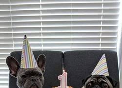 Enlace a De celebración