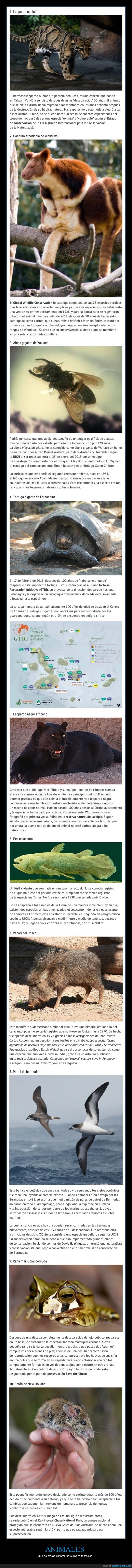 animales,extintos,reaparición