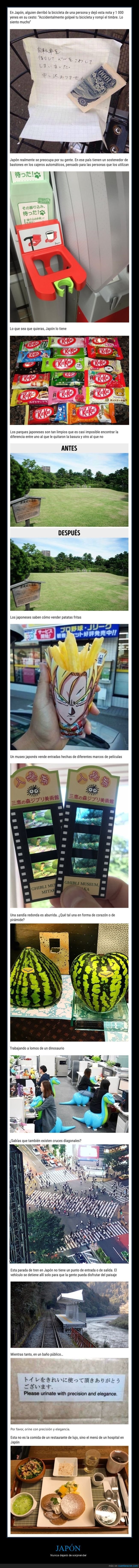 japón,curiosidades