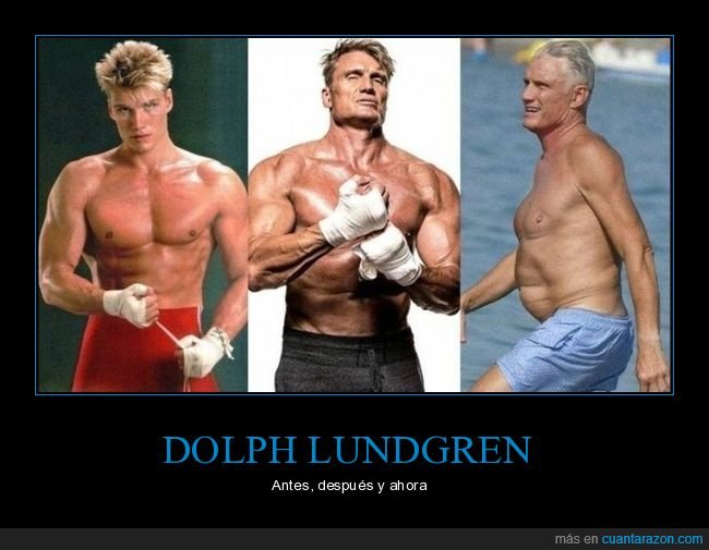 dolph lundgren,antes,después