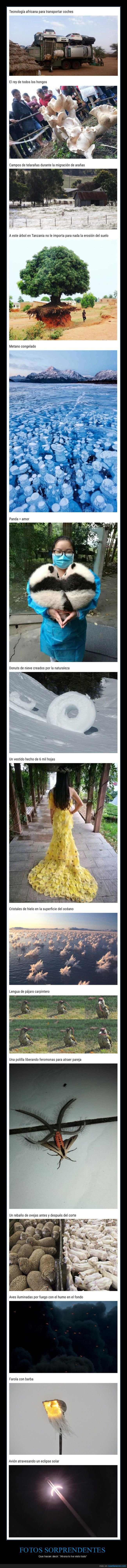 fotos sorprendentes,curiosidades