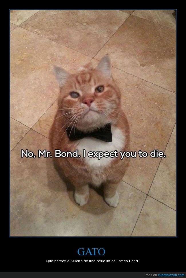 gato,james bond,villano