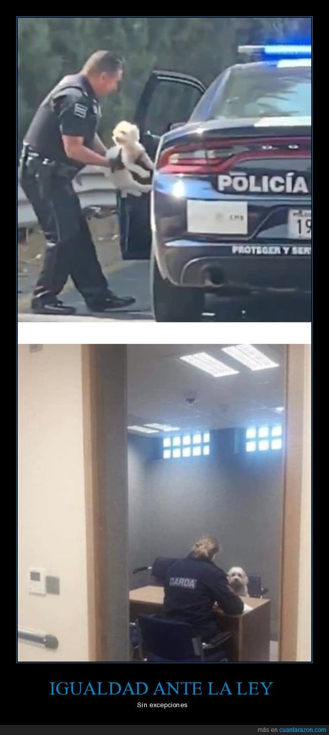 polic&iacute;a,perro,detenido