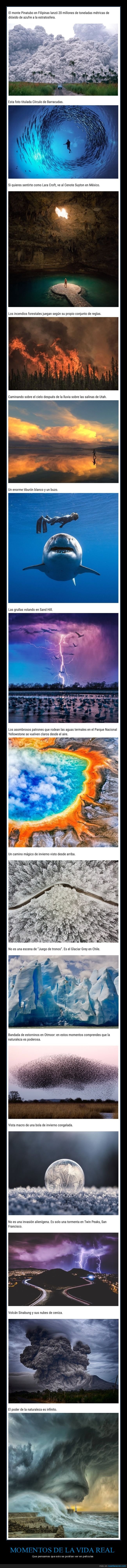 naturaleza,curiosidades