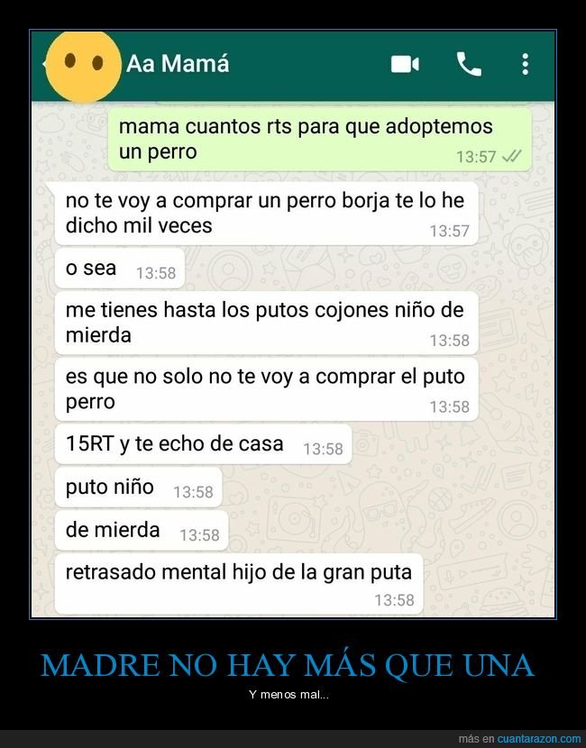 madre,hijo,retweets,perro,whatsapp